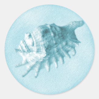 A Beach Wedding  Seashell Sticker (Blue)