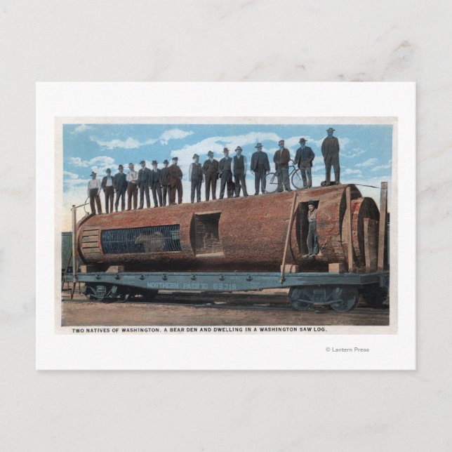 A Bear Cage and Dwelling in a Huge Saw Log Postcard (Front)