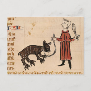 A Bear Keeper, from 'Decrets de Gratien' Postcard