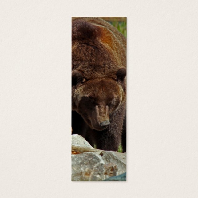 A Bear of a Bookmark (Front)