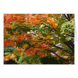 A beautiful Autumn day in Salem, MA