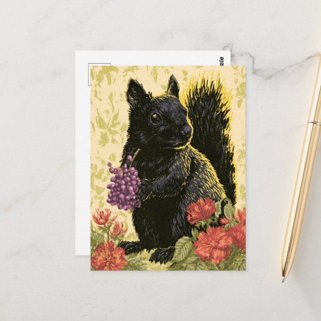 A beautiful black squirrel postcard (Front/Back In Situ)
