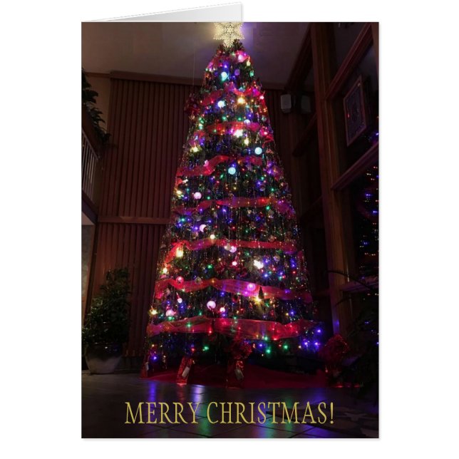 A Beautiful Christmas Tree with Reflections (Front)