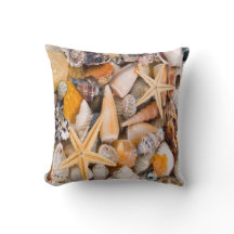 A Beautiful Collection of Seashells on a Cushion.