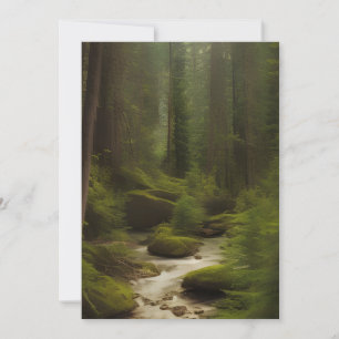 A Beautiful Forest Stream  Card