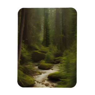 A Beautiful Forest Stream  Magnet