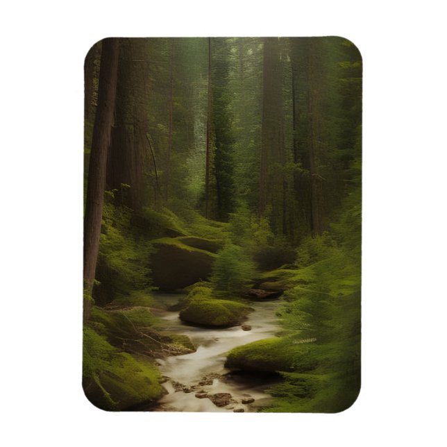A Beautiful Forest Stream  Magnet (Vertical)