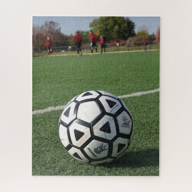 A Beautiful Game -Soccer or Futbol -16x20 -520 pcs Jigsaw Puzzle (Vertical)