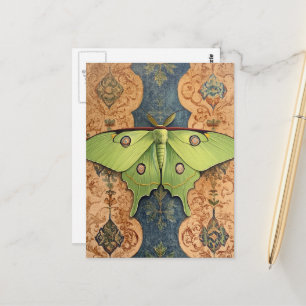 A Beautiful Green Moth Brown Blue Background Postcard