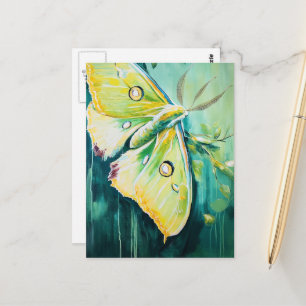 A Beautiful Green Moth Postcard