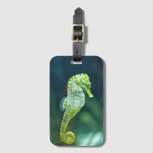 A Beautiful Knysna Seahorse Luggage Tag