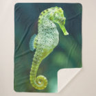 A Beautiful Knysna Seahorse