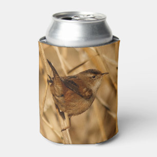 A Beautiful Marsh Wren in--Where Else?--the Marsh Can Cooler
