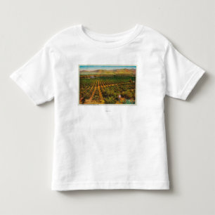 A Beautiful Orange GroveState Toddler T-Shirt