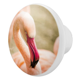 A Beautiful Pink Flamingo  Ceramic Knob