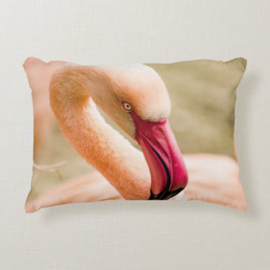 A Beautiful Pink Flamingo Decorative Cushion