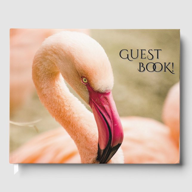 A Beautiful Pink Flamingo  Guest Book (Front)