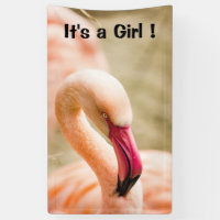A Beautiful Pink Flamingo Its a Girl