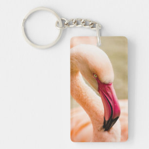 A Beautiful Pink Flamingo  Key Ring