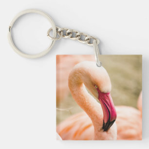 A Beautiful Pink Flamingo Key Ring