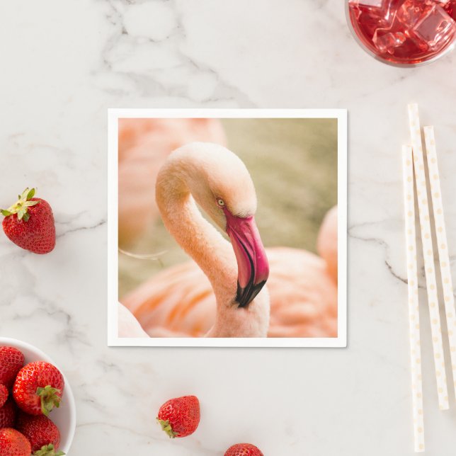 A Beautiful Pink Flamingo  Napkin (Insitu)