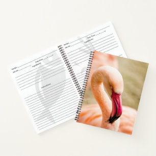 A Beautiful Pink Flamingo Notebook