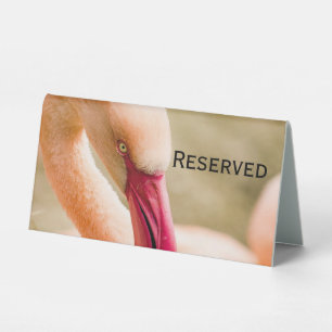 A Beautiful Pink Flamingo Reserved