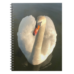 A beautiful swan notebook