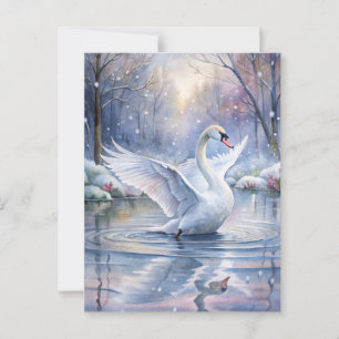 A Beautiful Swan Postcard