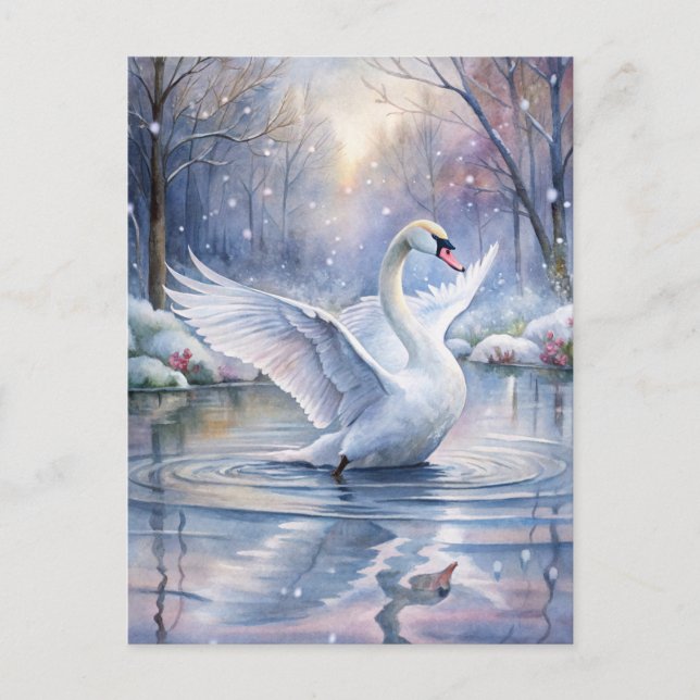 A Beautiful Swan Postcard (Front)
