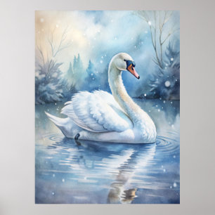 A Beautiful Swan Poster