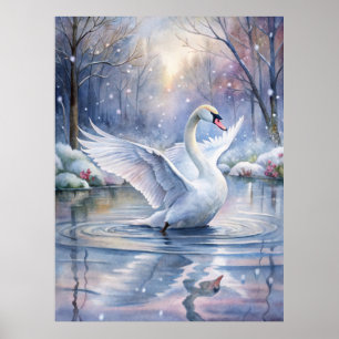 A Beautiful Swan Poster