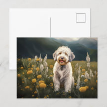 A beautiful white dog