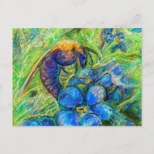 A Bee & Forget-me-not Flowers Postcard
