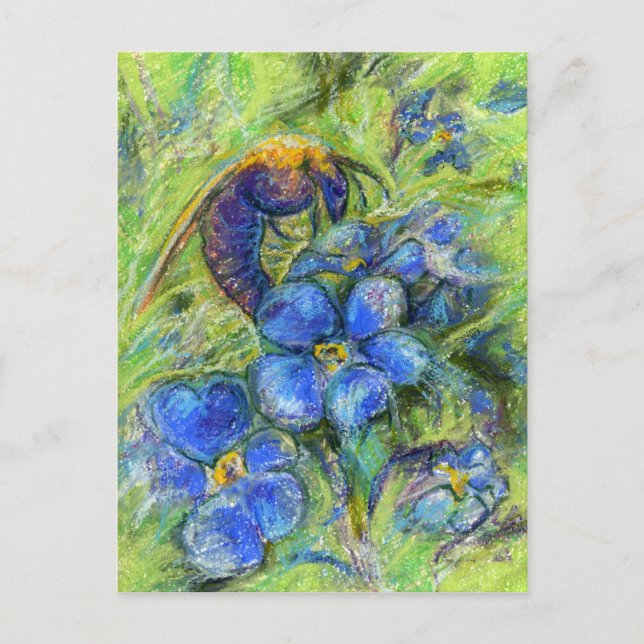 A Bee & Forget-me-not Flowers Postcard (Front)