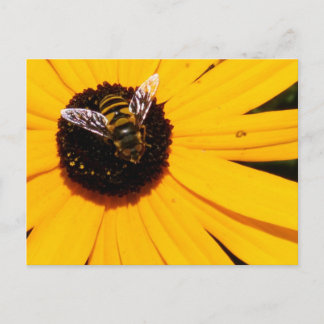 A Bee's Life Postcard