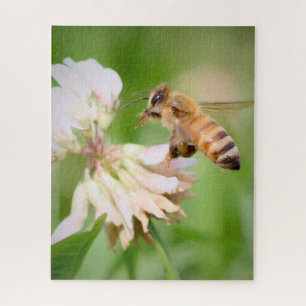 A Bee's Quiet Errand on White Clover Jigsaw Puzzle