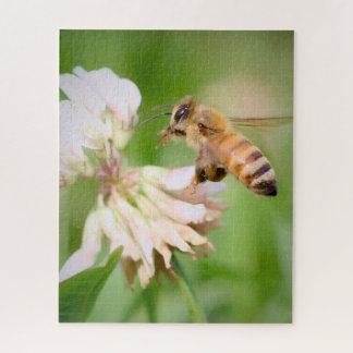 A Bee's Quiet Errand on White Clover Jigsaw Puzzle
