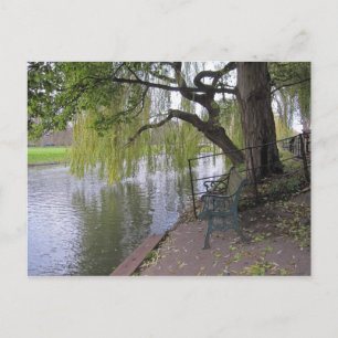 A bench by the river Cam Postcard