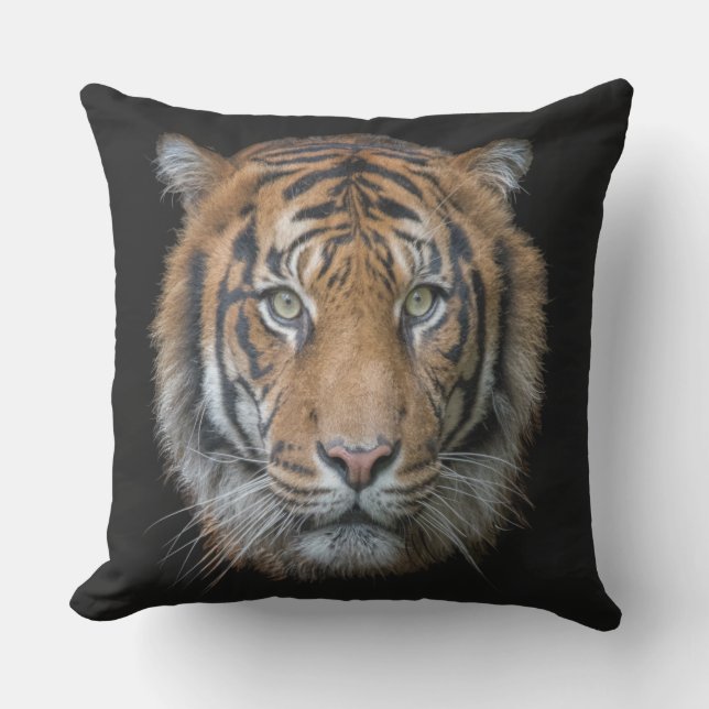 A Bengal Tiger Outdoor Cushion (Front)