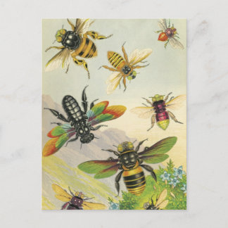 A Bevy of Beautiful Bees Postcards