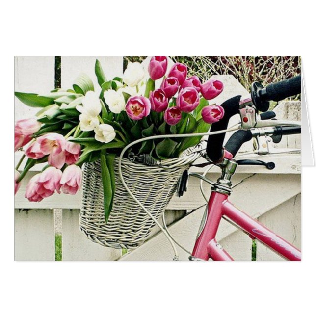 A BICYCLE BUILT FOR HER (Front Horizontal)