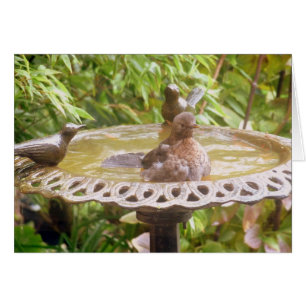 A Bird In The Bath