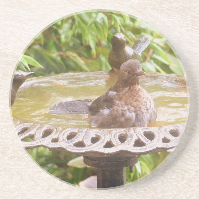 A Bird In The Bath Coaster (Front)