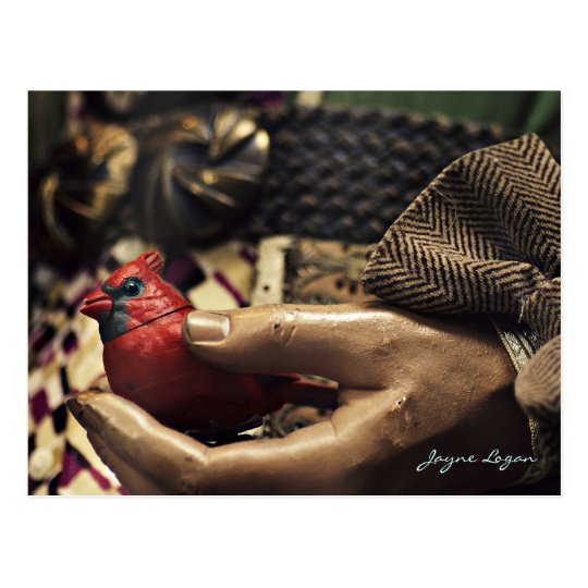 A Bird in the Hand, Postcard (Digital Colour Photo