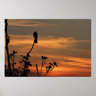 a bird in the tree at sunset poster