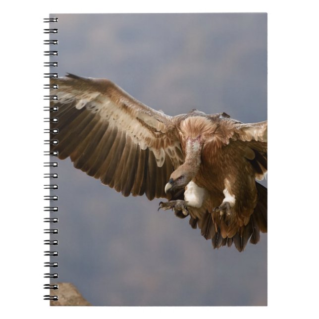 A Bird of Prey Notebook (Front)