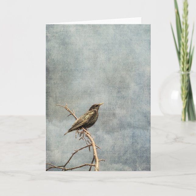 A bird on a branch card (Front)