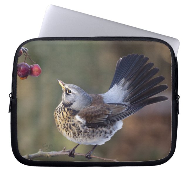 A Birdie's Tail Laptop Sleeve (Front)