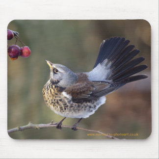 A Birdie's Tail Mousemat